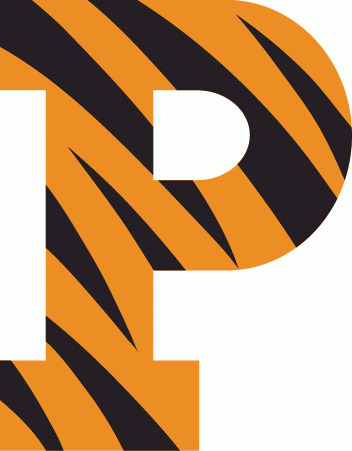 Princeton Tigers 1984-Pres Primary Logo t shirts DIY iron ons
